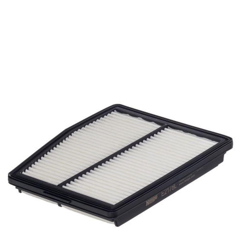 HENGST FILTER Luftfilter