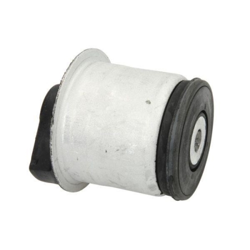 REINHOCH Lagerung, Achsk&ouml;rper RH20-5008