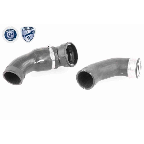 VAICO Ladeluftschlauch EXPERT KITS + V20-2970