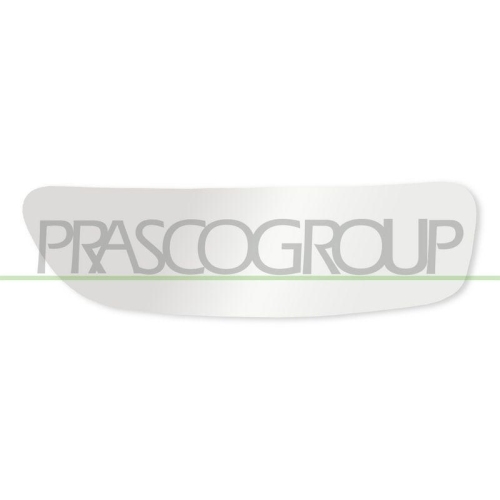 PRASCO Spiegelglas, Au&szlig;enspiegel FT9107534