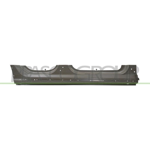 PRASCO Einstiegsblech TS6003533