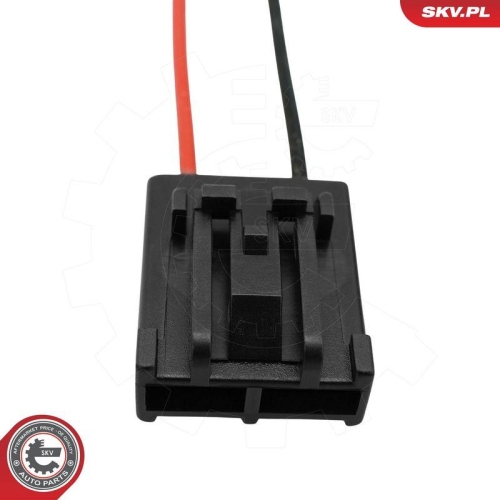 ESEN SKV Kraftstoffpumpe 02SKV202