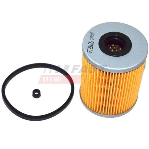 FAST Filter, Kraftstoff-F&ouml;rdereinheit FT39105