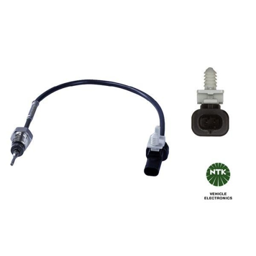 Abgastemperatursensor