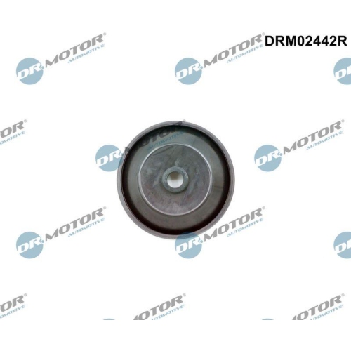 Dr.Motor Automotive Ventil, Luftsteuerung (Ansaugluft) DRM02442R