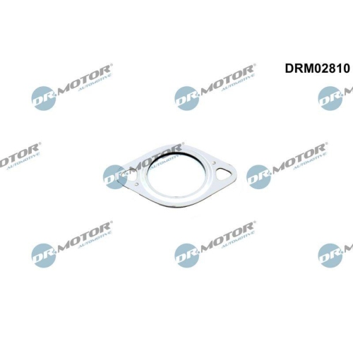 Dr.Motor Automotive Dichtung, Leitung AGR-Ventil DRM02810