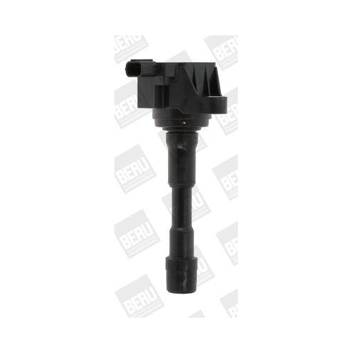 BorgWarner (BERU) Z&uuml;ndspule ZSE176