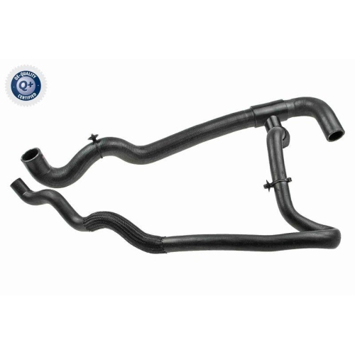 VAICO K&uuml;hlerschlauch Q+, Erstausr&uuml;sterqualit&auml;t V46-1024