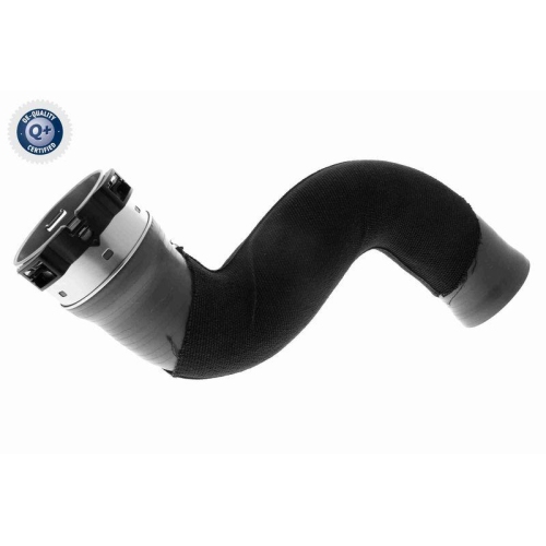 VAICO Ladeluftschlauch Q+, Erstausrüsterqualität