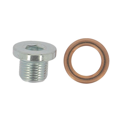 PAYEN Verschlussschraube, &Ouml;lwanne KG5395