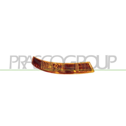 PRASCO Blinkleuchte TYC RN9324103