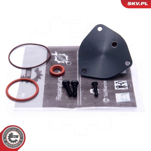 ESEN SKV Reparatursatz, Unterdruckpumpe (Bremsanlage) 18SKV806