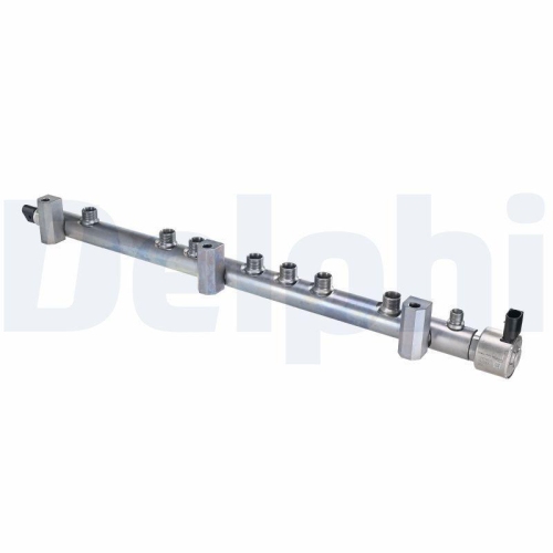 DELPHI Verteilerrohr, Kraftstoff 42043607
