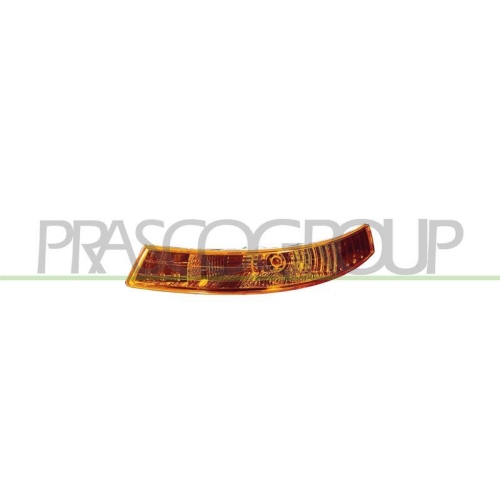 PRASCO Blinkleuchte TYC RN9324104