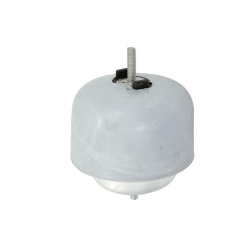 REINHOCH Lagerung, Motor RH11-0119