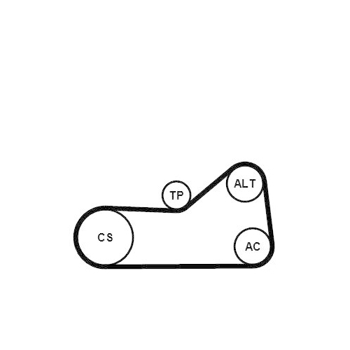 CONTINENTAL CTAM Wasserpumpe + Keilrippenriemensatz 6PK976WP2