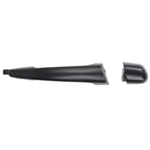 BLIC Türaußengriff 6010-43-009401P