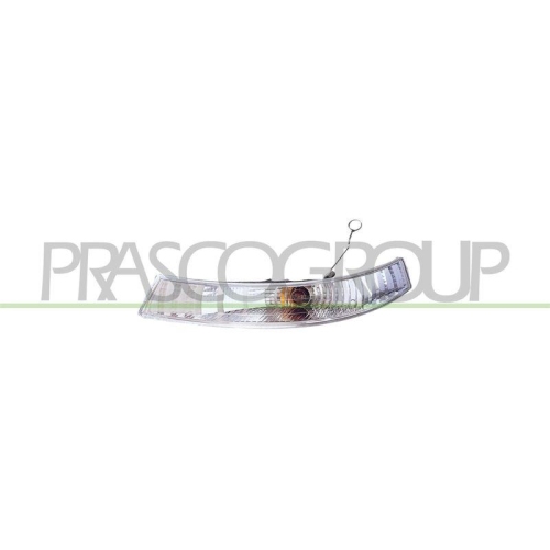 PRASCO Blinkleuchte TYC RN9324114