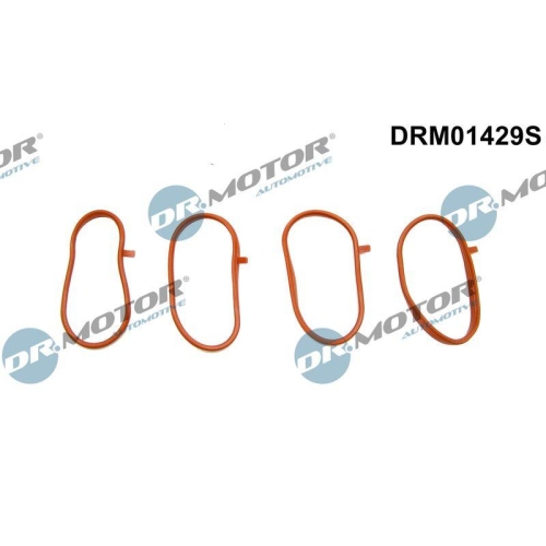 Dr.Motor Automotive Dichtungssatz, Ansaugkr&uuml;mmer DRM01429S