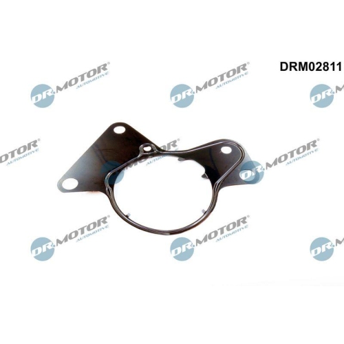 Dr.Motor Automotive Dichtung, Kraftstoffpumpe DRM02811