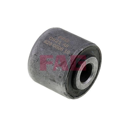 Schaeffler FAG Lagerung, Lenker