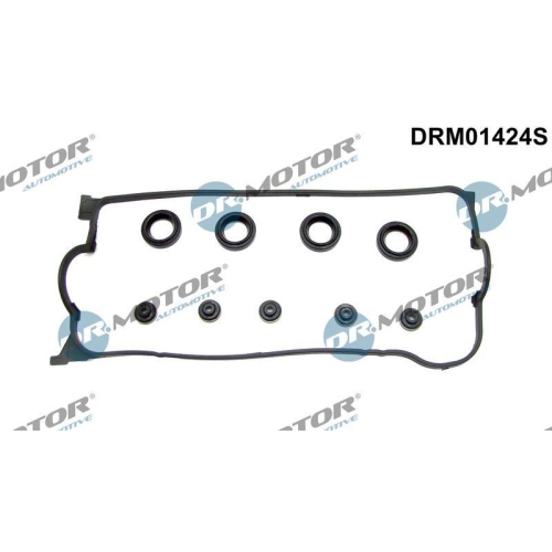 Dr.Motor Automotive Dichtungssatz, Zylinderkopfhaube DRM01424S
