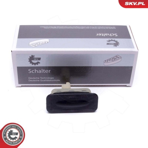 ESEN SKV Schalter, T&uuml;rschloss 38SKV822
