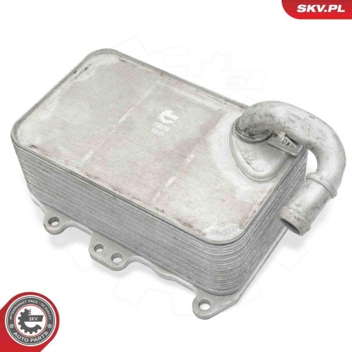 ESEN SKV &Ouml;lk&uuml;hler, Motor&ouml;l 31SKV359