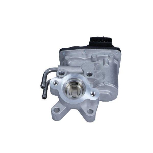 MAXGEAR AGR-Ventil 27-4069