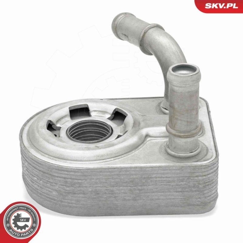 ESEN SKV &Ouml;lk&uuml;hler, Motor&ouml;l 31SKV360
