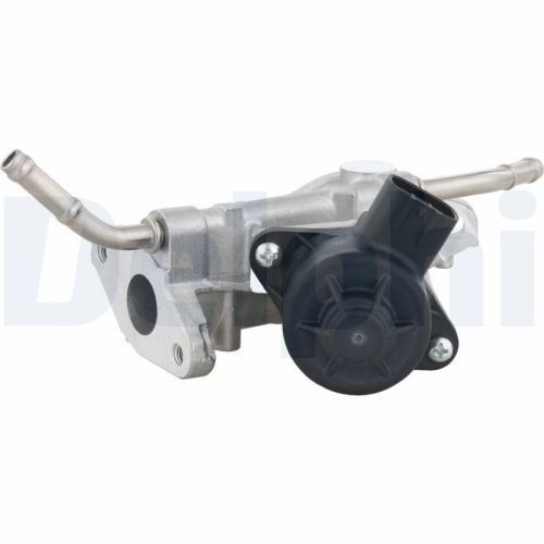 DELPHI AGR-Ventil EG10738-12B1