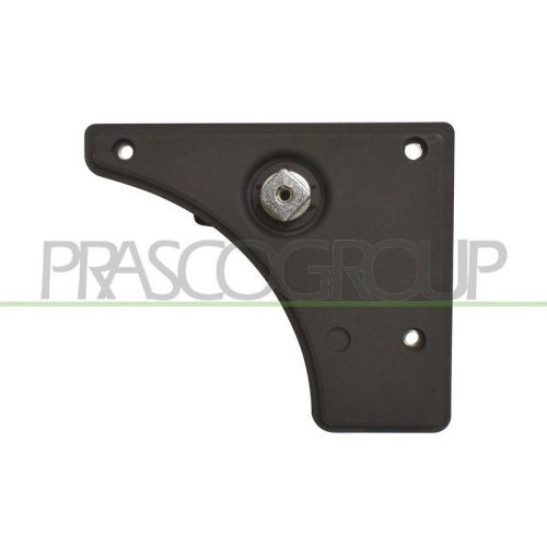 PRASCO T&uuml;rgriff, Innenausstattung FT9308312