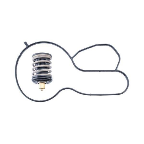 MAHLE Thermostat, Kühlmittel BEHR TX 495 87D