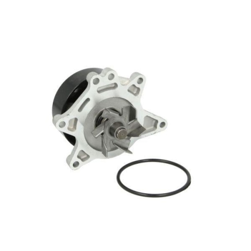 THERMOTEC Wasserpumpe, Motork&uuml;hlung D12083TT