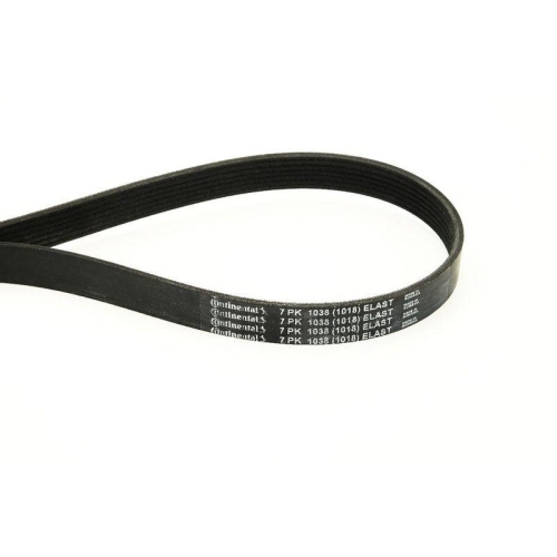 CONTINENTAL CTAM Keilrippenriemen 7PK1038 ELAST