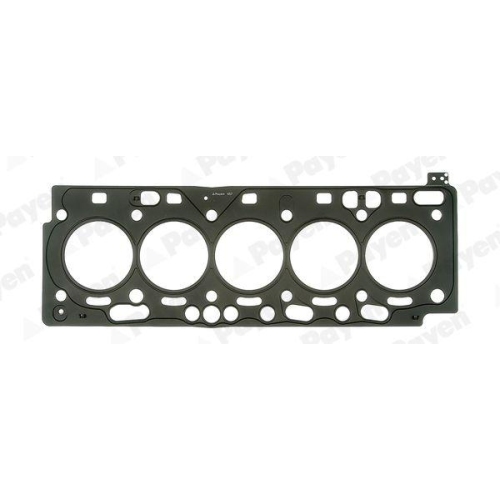 PAYEN Dichtung, Zylinderkopf AH7220