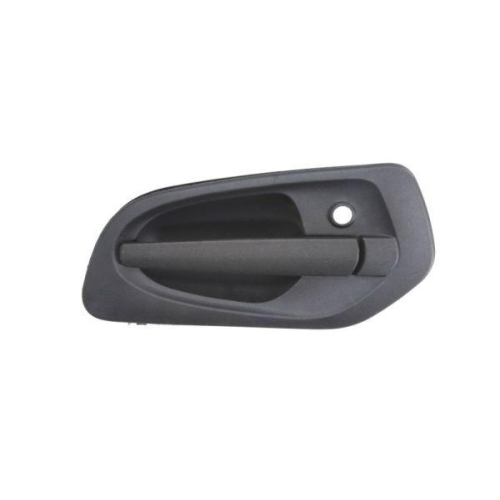 PACOL Türaußengriff MER-DH-011L