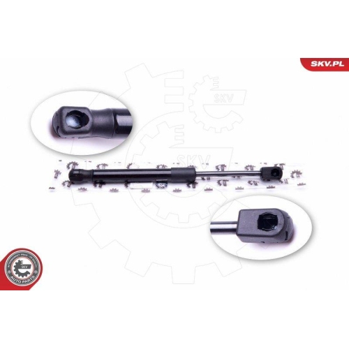 ESEN SKV Gasfeder, Koffer-/Laderaum