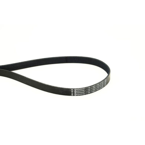 CONTINENTAL CTAM Keilrippenriemen 7PK1195 ELAST