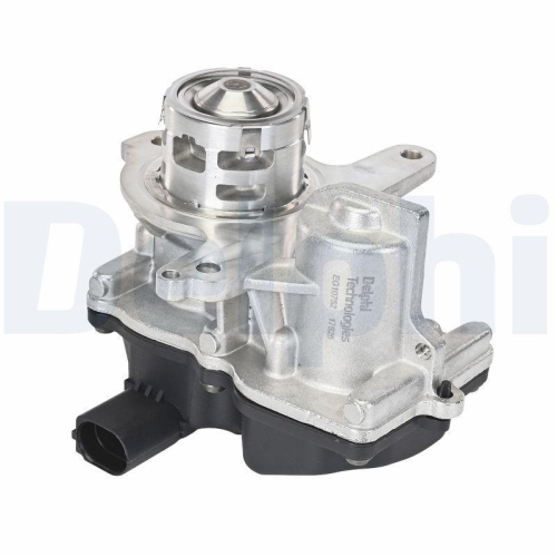 DELPHI AGR-Ventil EG10752-12B1