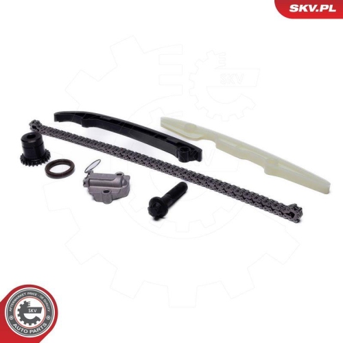ESEN SKV Steuerkettensatz 21SKV262