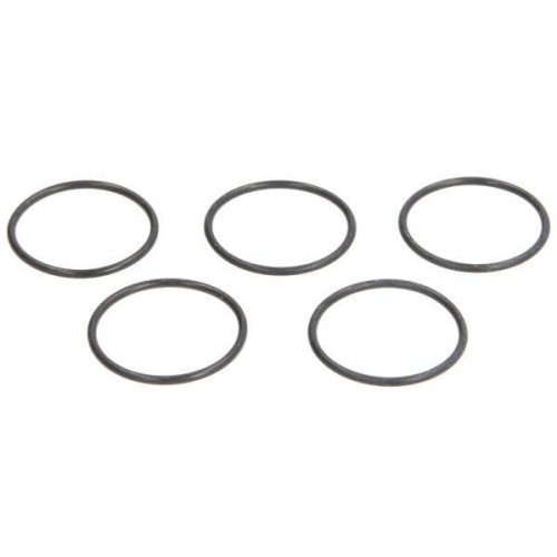 ENGITECH Dichtring, Einspritzventil ENT250131
