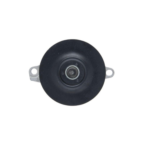 VALEO Wasserpumpe, Motork&uuml;hlung 529707