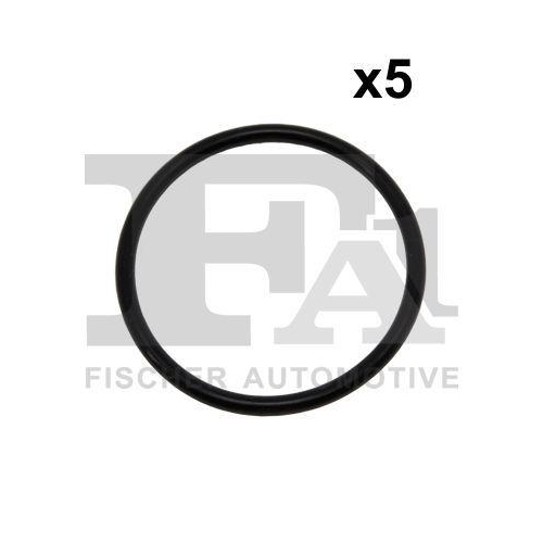 FA1 Dichtring 076.632.005