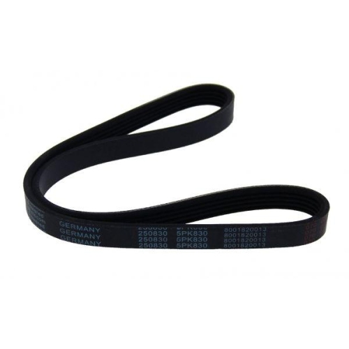 MAPCO Keilrippenriemen 250830