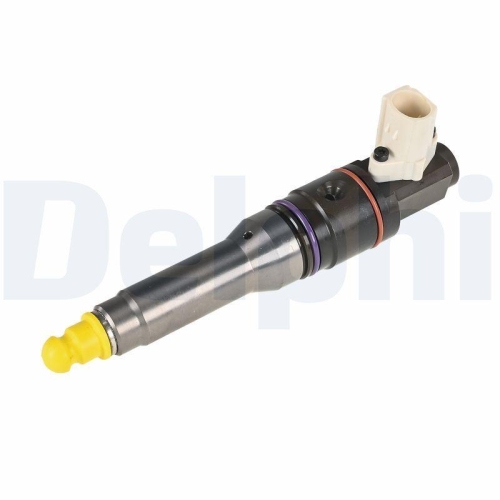 DELPHI Einspritzventil 42066443-12B1