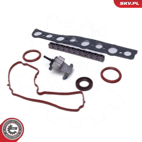 ESEN SKV Steuerkettensatz 21SKV254