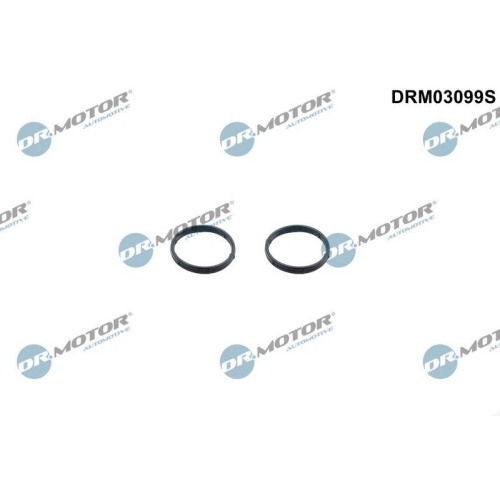 Dr.Motor Automotive Dichtungssatz, &Ouml;lpumpe DRM03099S