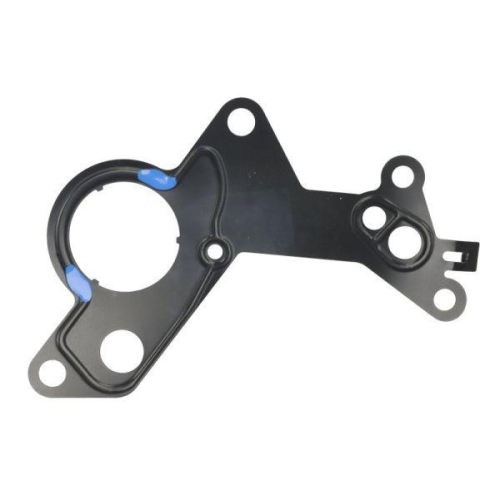 ENGITECH Dichtung, Kraftstoffpumpe ENT410101