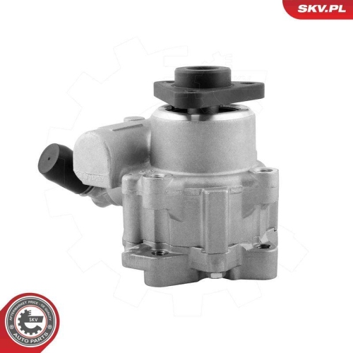 ESEN SKV Hydraulikpumpe, Lenkung